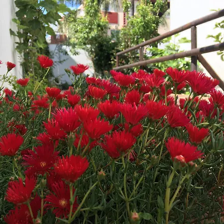 Pixel בית הארחה