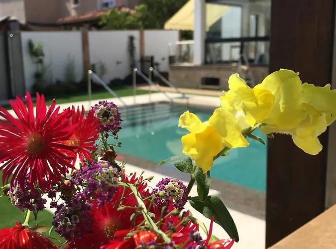 Guest house Pixel Torremolinos